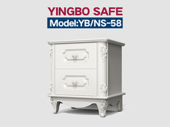 Akıllı Çifte Alarm Akıllı Kasası YB/NS-58