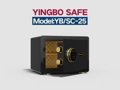 YB/SC-25 siyah parmak izi kilitli ev kasası